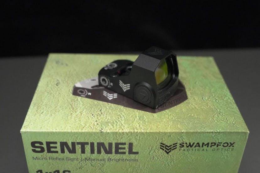 Swampfox Sentinel.jpg