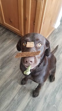 20180925_140839.jpg
