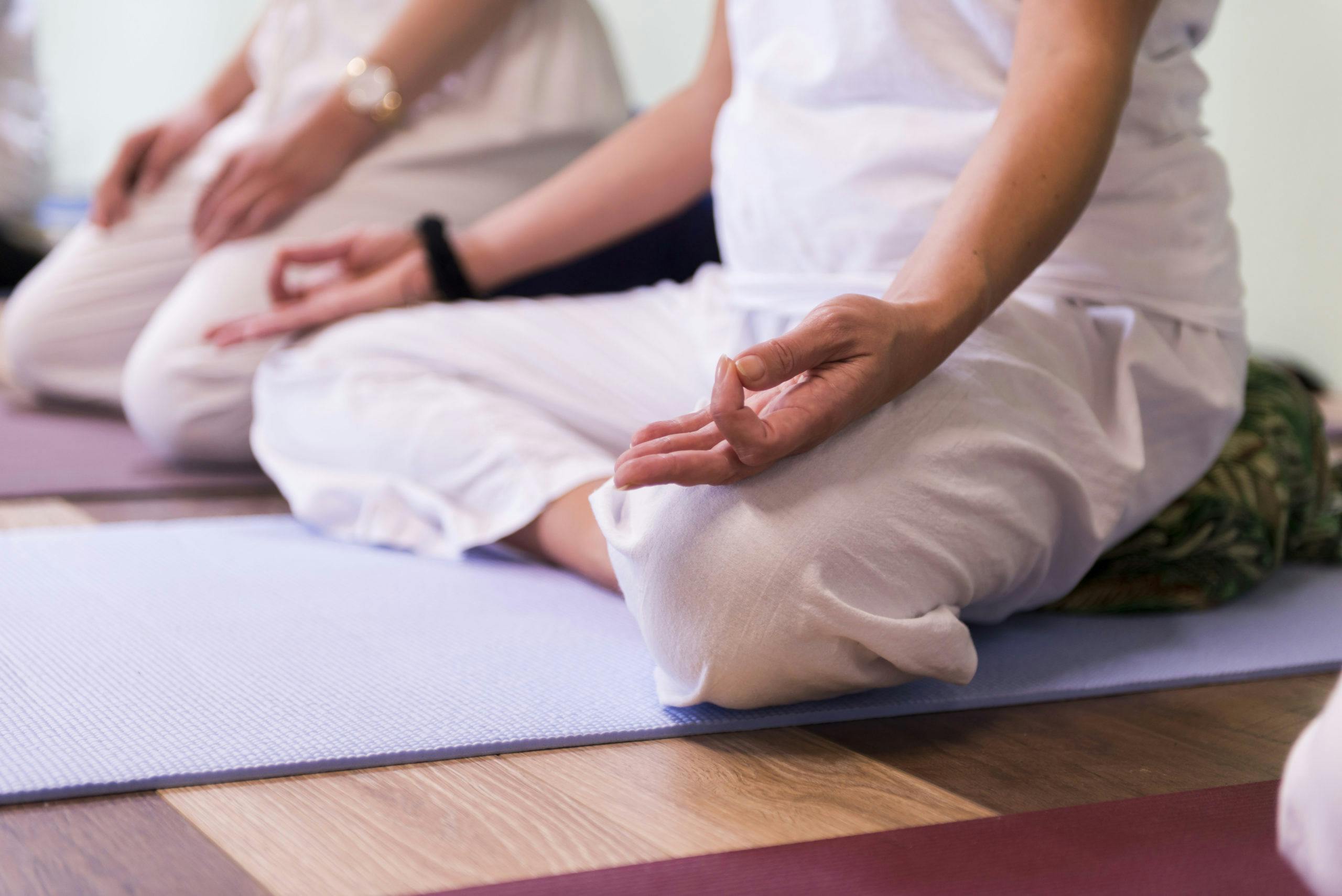 200-hour-Hatha-Yoga-Teacher-Training-in-Los-Angeles.jpg