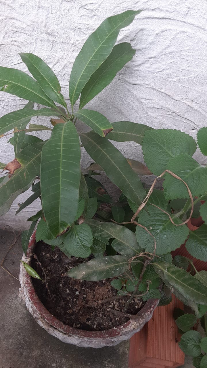 WhatsApp Image 2025-06-13 at 08.27.10.jpeg