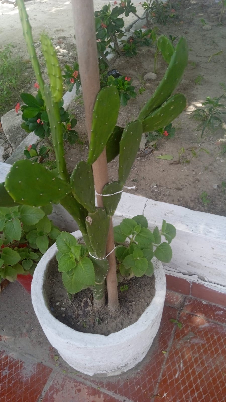 WhatsApp Image 2025-08-22 at 11.55.58.jpeg