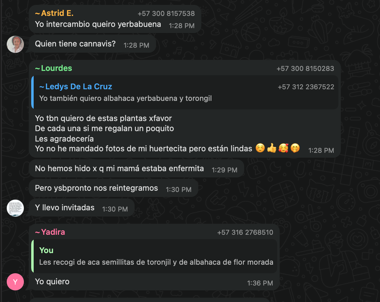 Screen Shot 2025-06-27 at 3.44.11 AM.png