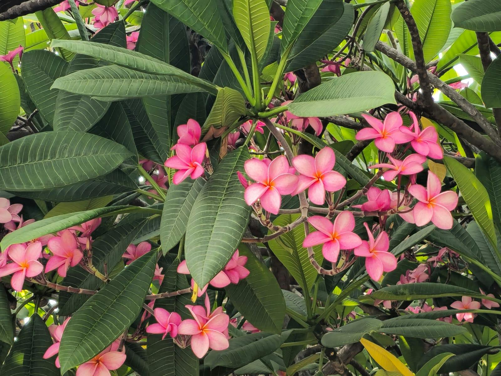 WhatsApp Image 2025-05-29 at 07.15.15.jpeg