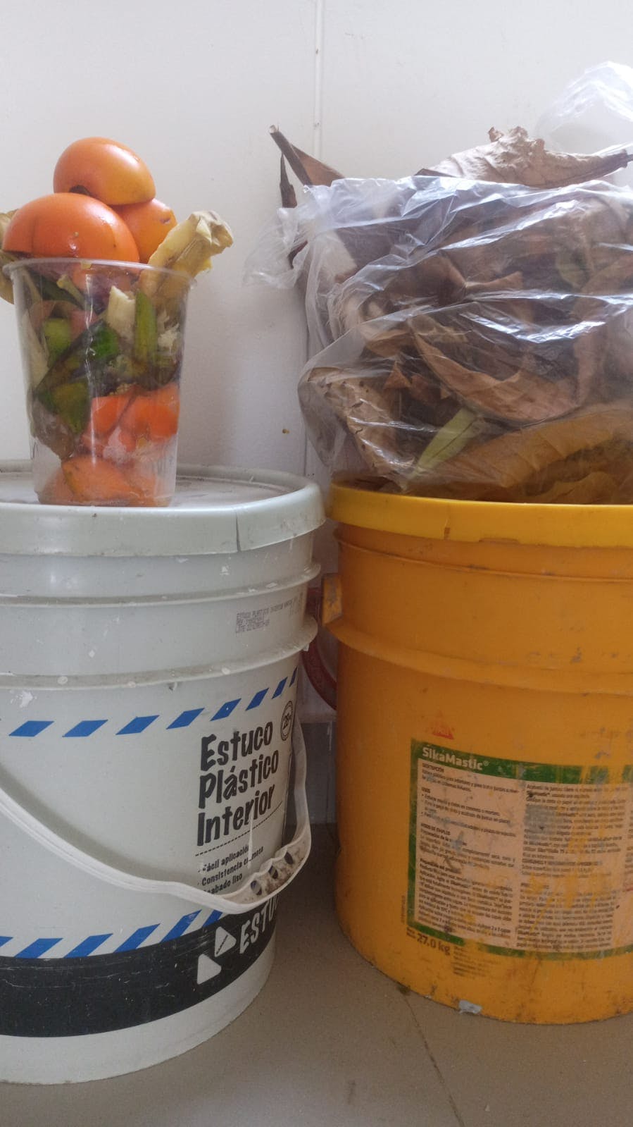 WhatsApp Image 2025-07-31 at 09.18.08.jpeg