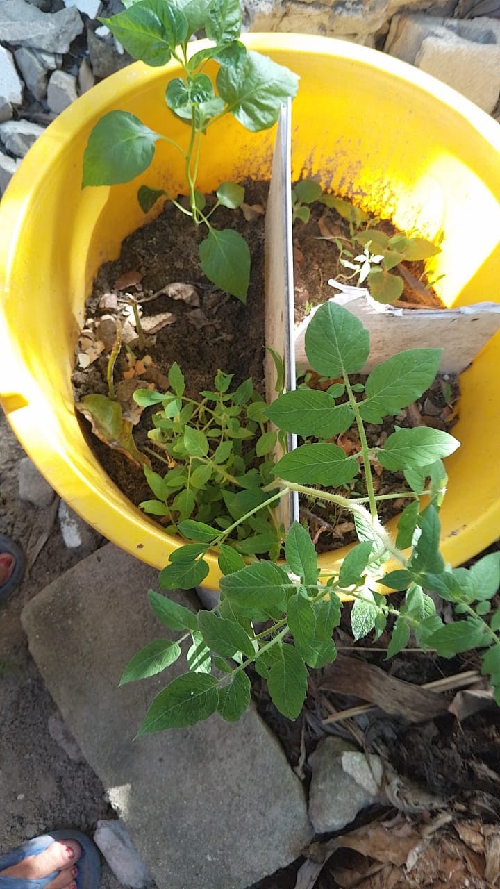 WhatsApp Image 2025-08-22 at 15.13.58.jpeg