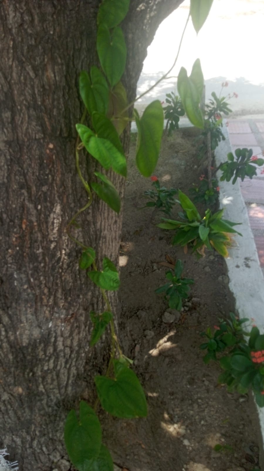 WhatsApp Image 2025-08-22 at 11.56.20.jpeg