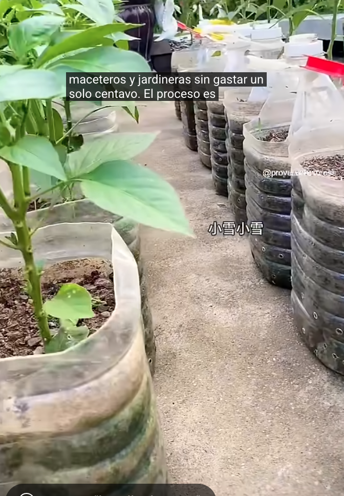 Screen Shot 2025-06-24 at 8.21.42 PM.png