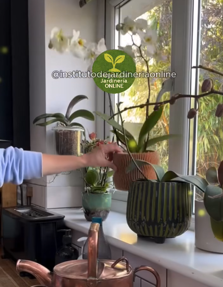 Screen Shot 2025-06-24 at 7.11.59 PM.png