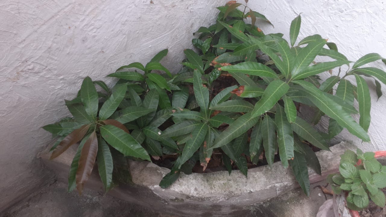 WhatsApp Image 2025-06-13 at 08.26.47.jpeg