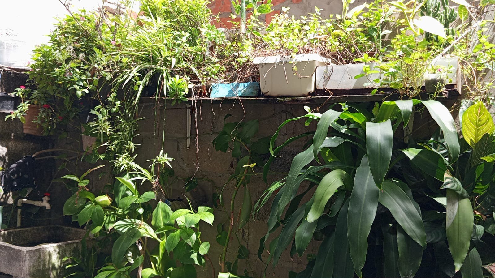 WhatsApp Image 2025-06-20 at 13.40.36 (1).jpeg