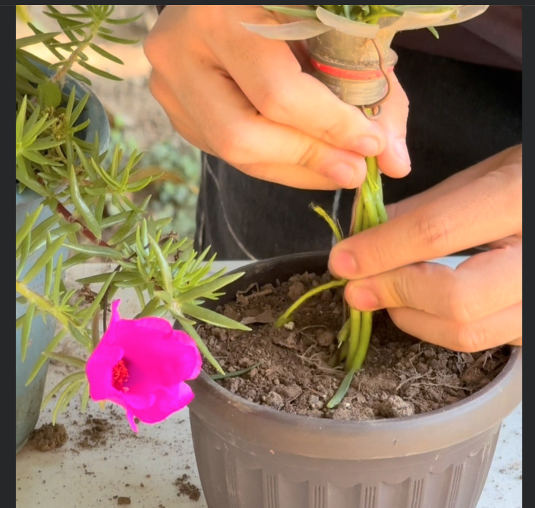 Screen Shot 2025-06-24 at 7.23.58 PM.png