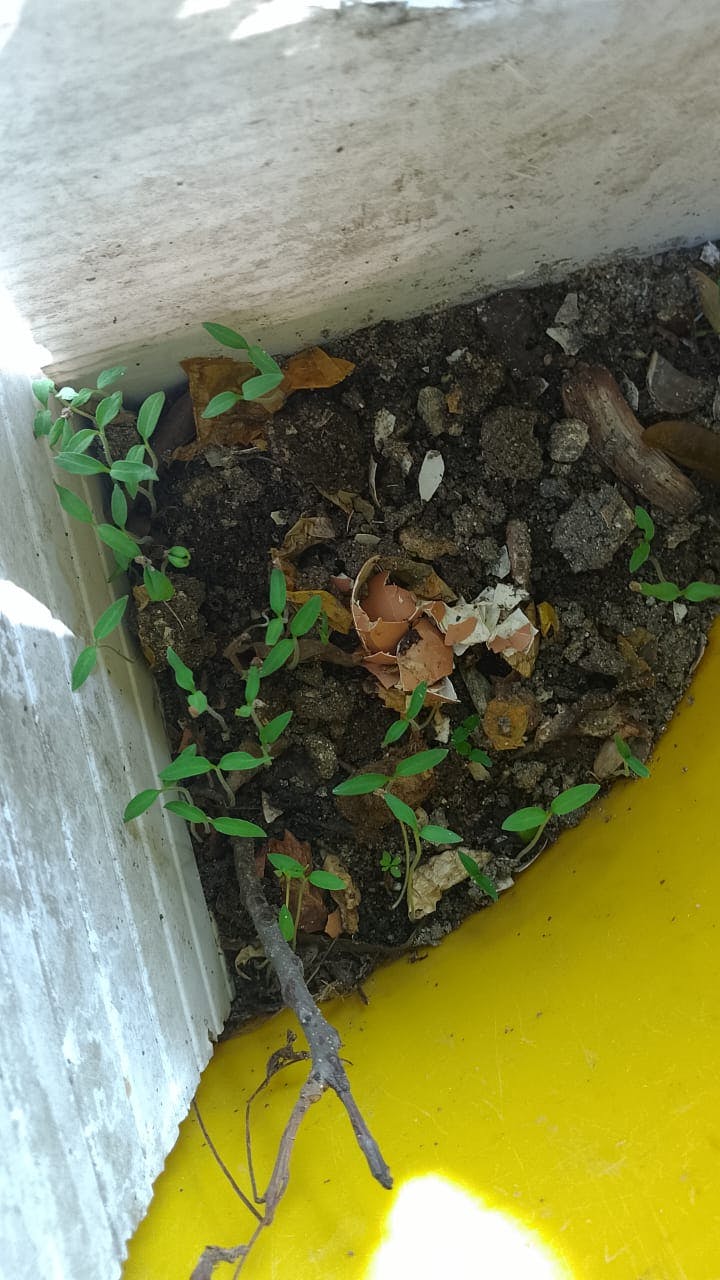 WhatsApp Image 2025-08-22 at 15.14.17.jpeg