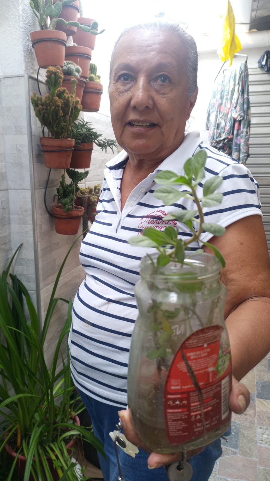 WhatsApp Image 2025-08-26 at 15.42.54.jpeg