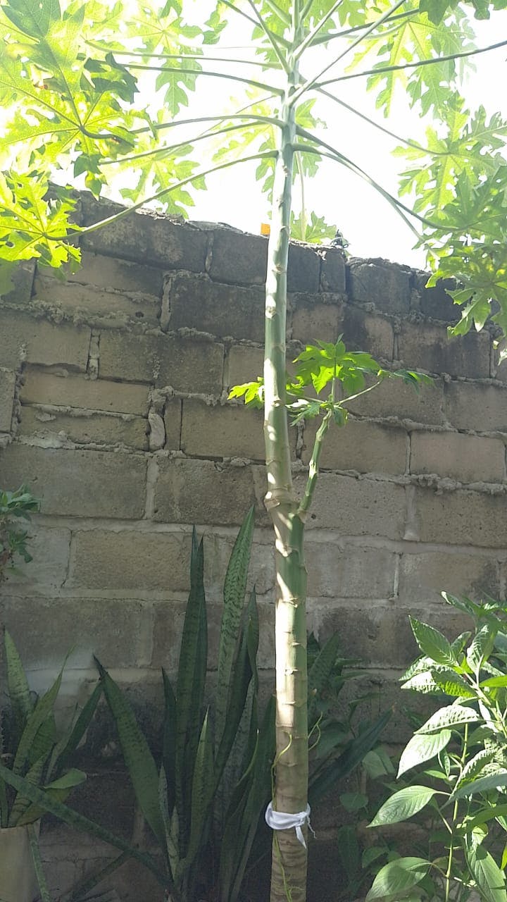 WhatsApp Image 2025-08-22 at 15.15.03.jpeg