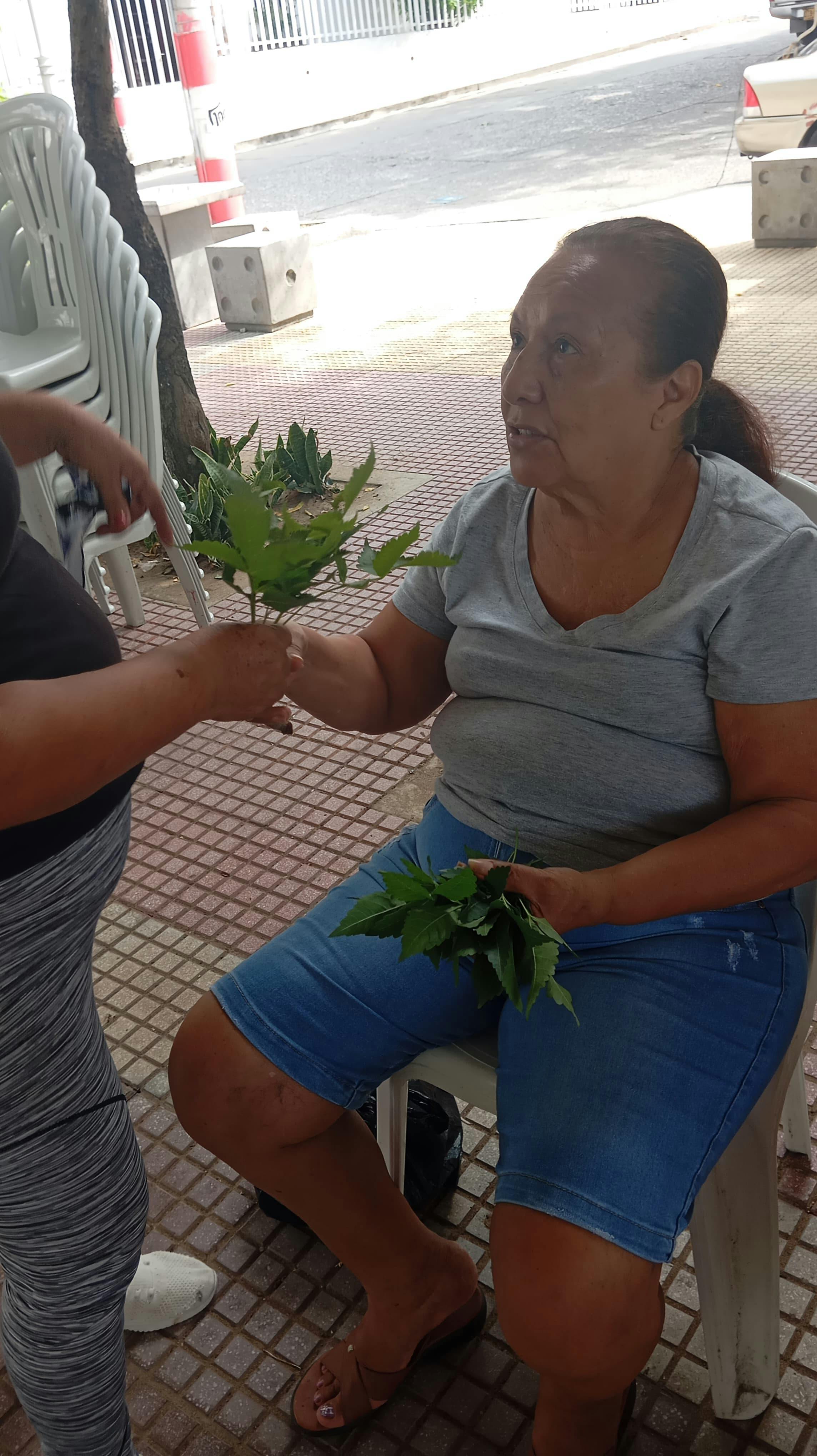 WhatsApp Image 2025-07-03 at 15.10.43.jpeg