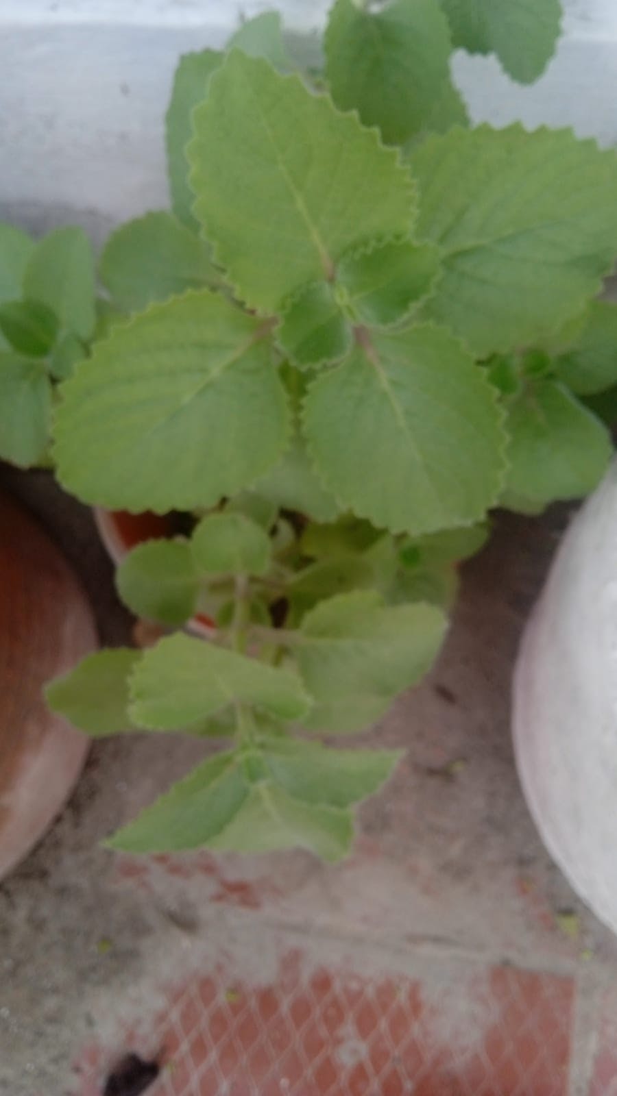 WhatsApp Image 2025-08-22 at 11.55.48.jpeg