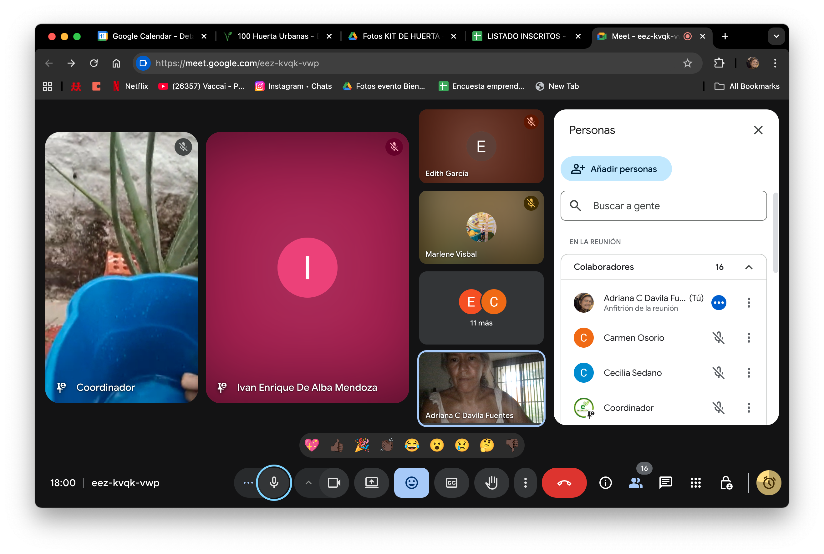 Screen Shot 2025-09-11 at 6.00.01 PM.png