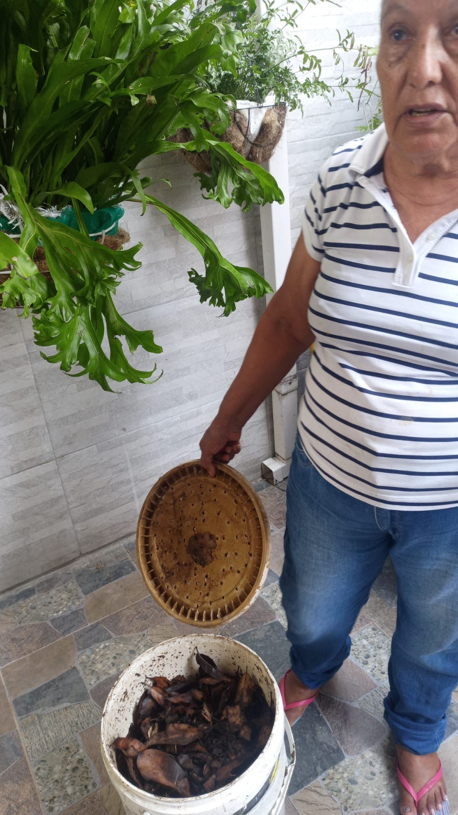 WhatsApp Image 2025-08-26 at 15.57.25.jpeg