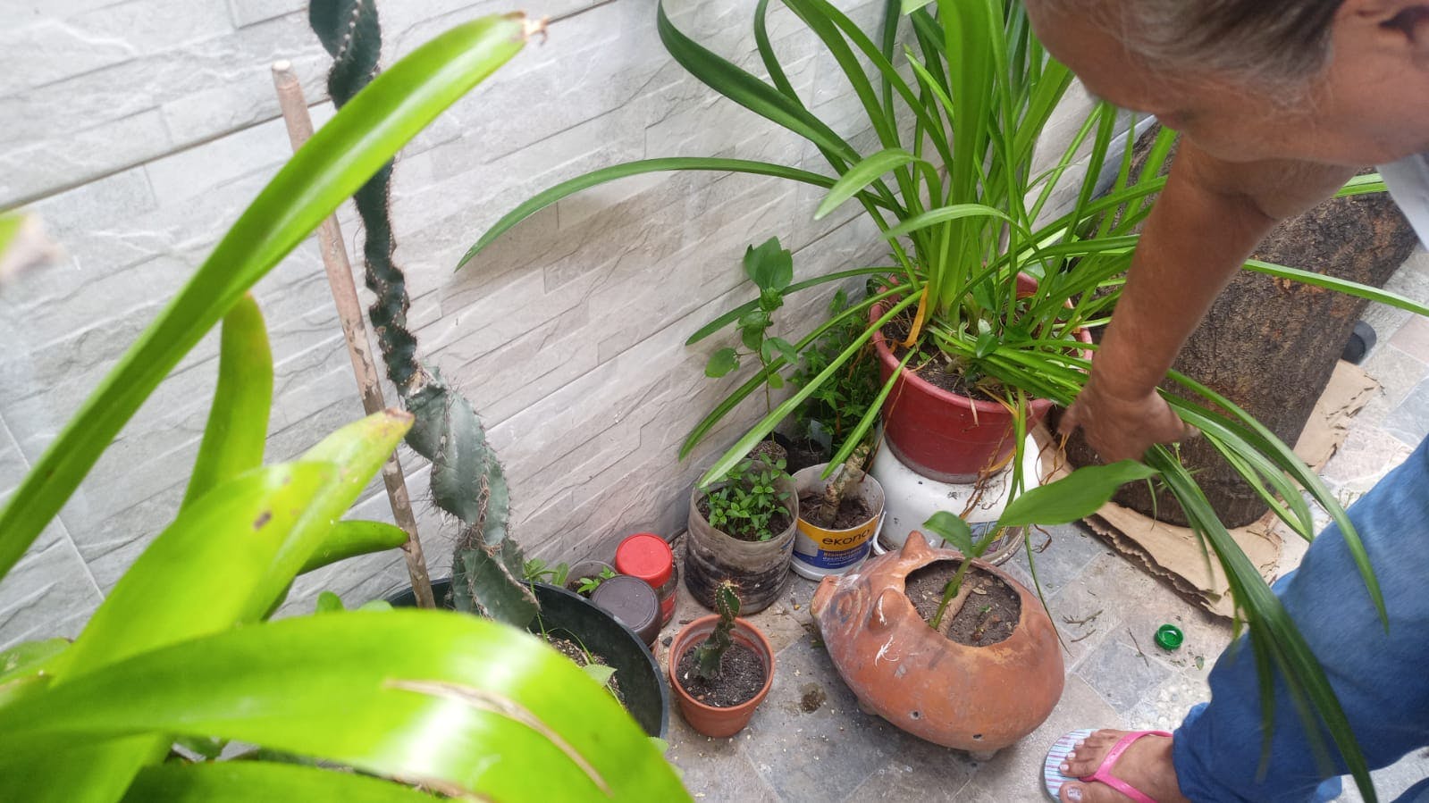 WhatsApp Image 2025-08-26 at 15.42.42.jpeg