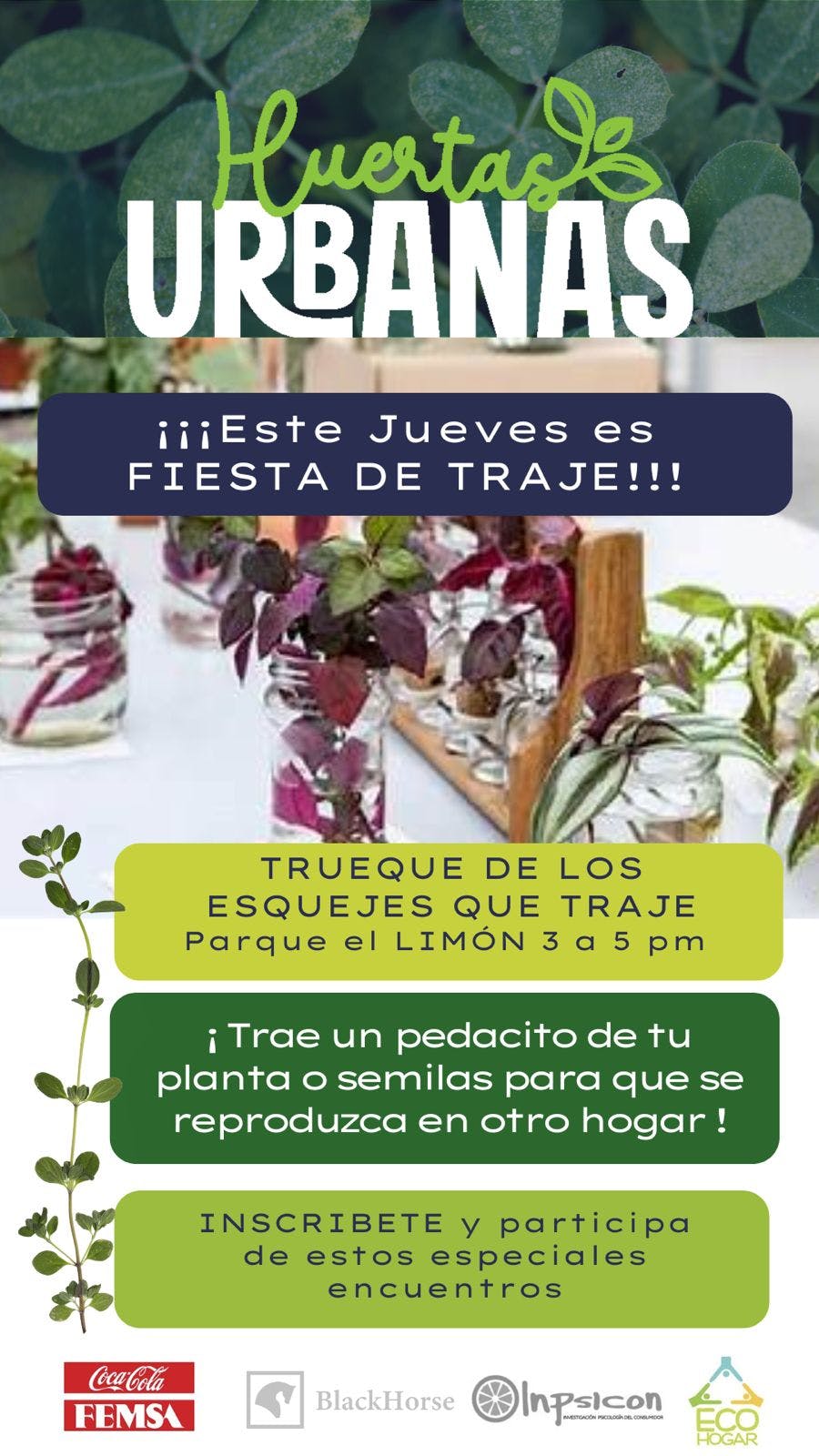 WhatsApp Image 2025-06-17 at 16.45.32.jpeg