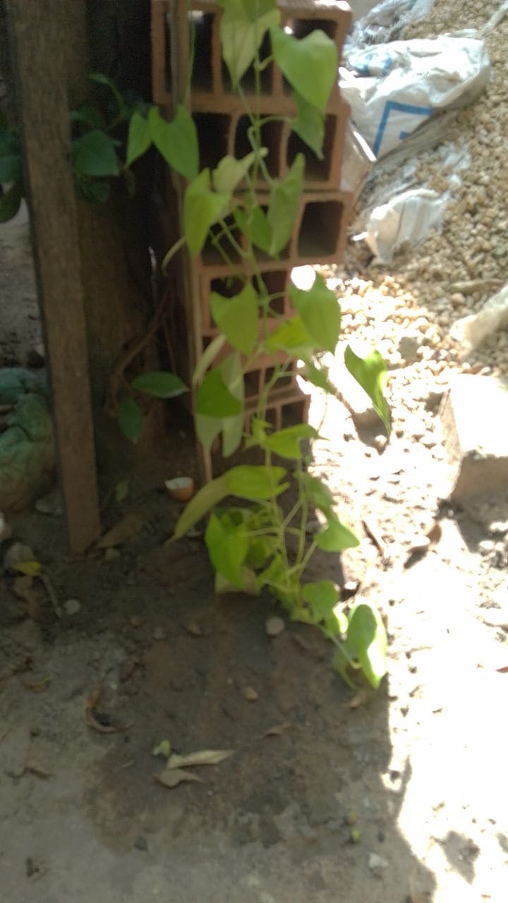 WhatsApp Image 2025-08-22 at 15.14.36.jpeg