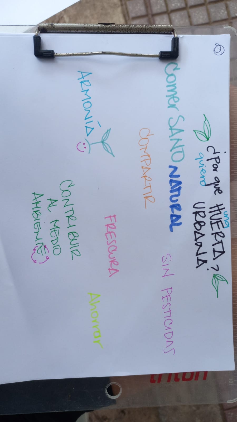 WhatsApp Image 2025-07-24 at 15.57.37.jpeg