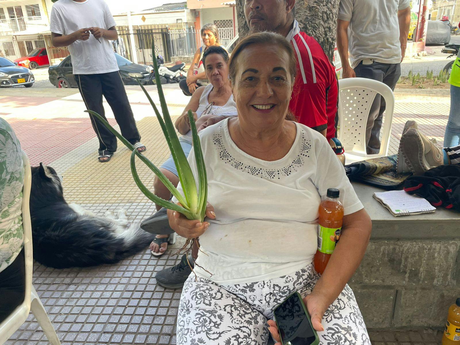 WhatsApp Image 2025-08-28 at 18.25.52.jpeg