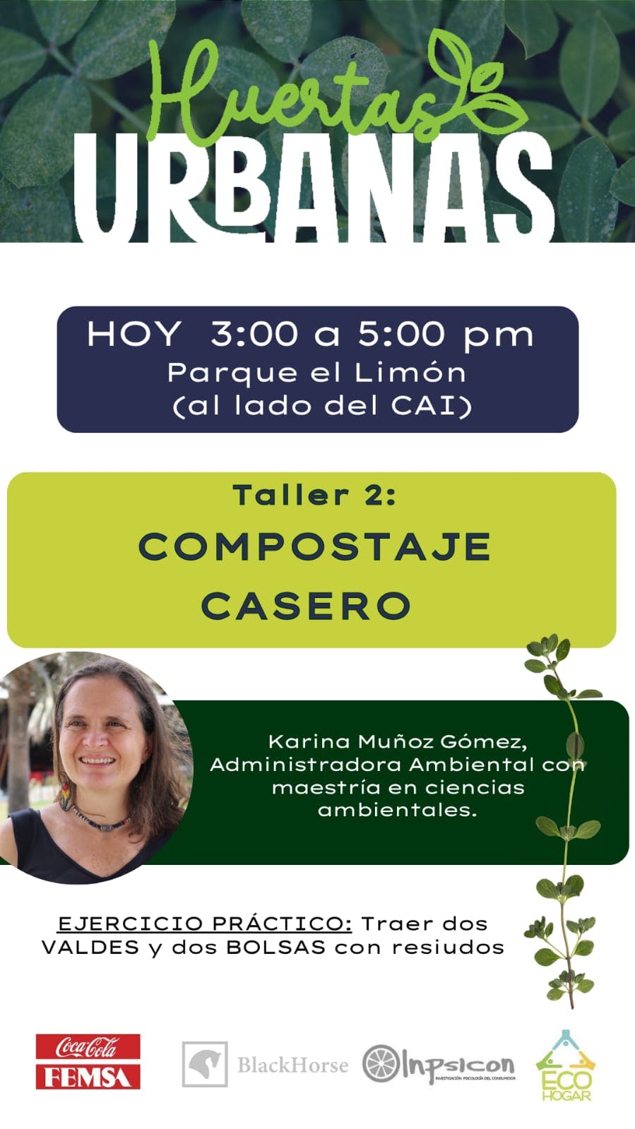 WhatsApp Image 2025-07-31 at 09.16.17.jpeg