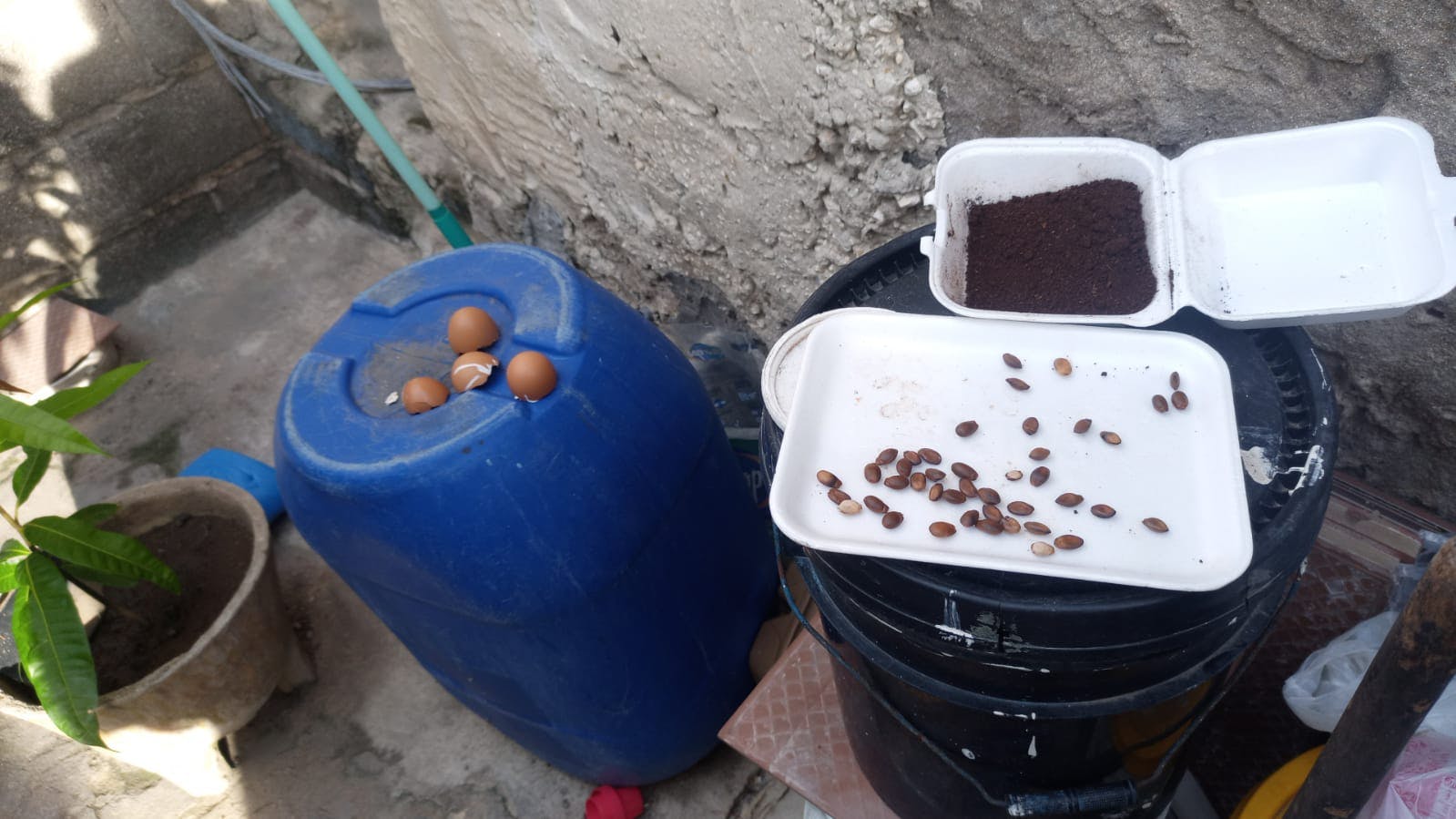 WhatsApp Image 2025-08-26 at 16.43.07.jpeg