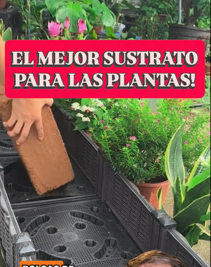 Screen Shot 2025-06-24 at 8.11.06 PM.png