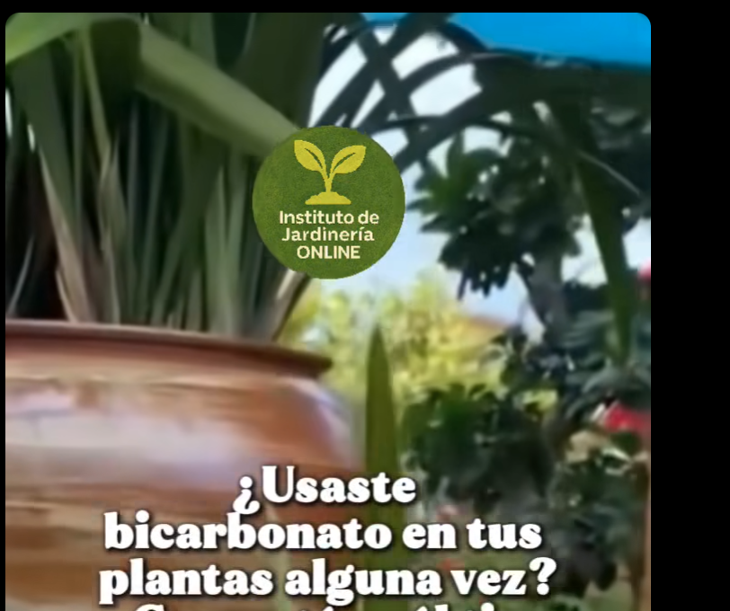 Screen Shot 2025-06-24 at 8.13.58 PM.png