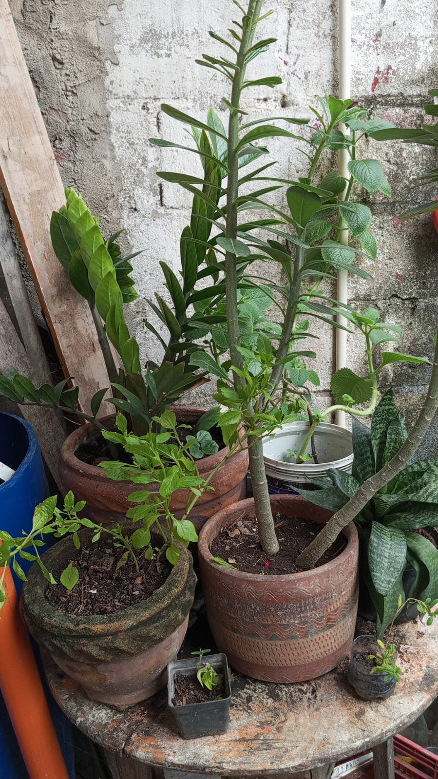 WhatsApp Image 2025-06-20 at 13.40.01 (1).jpeg