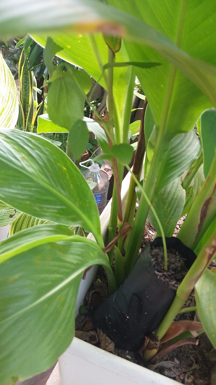 WhatsApp Image 2025-08-22 at 15.11.24.jpeg