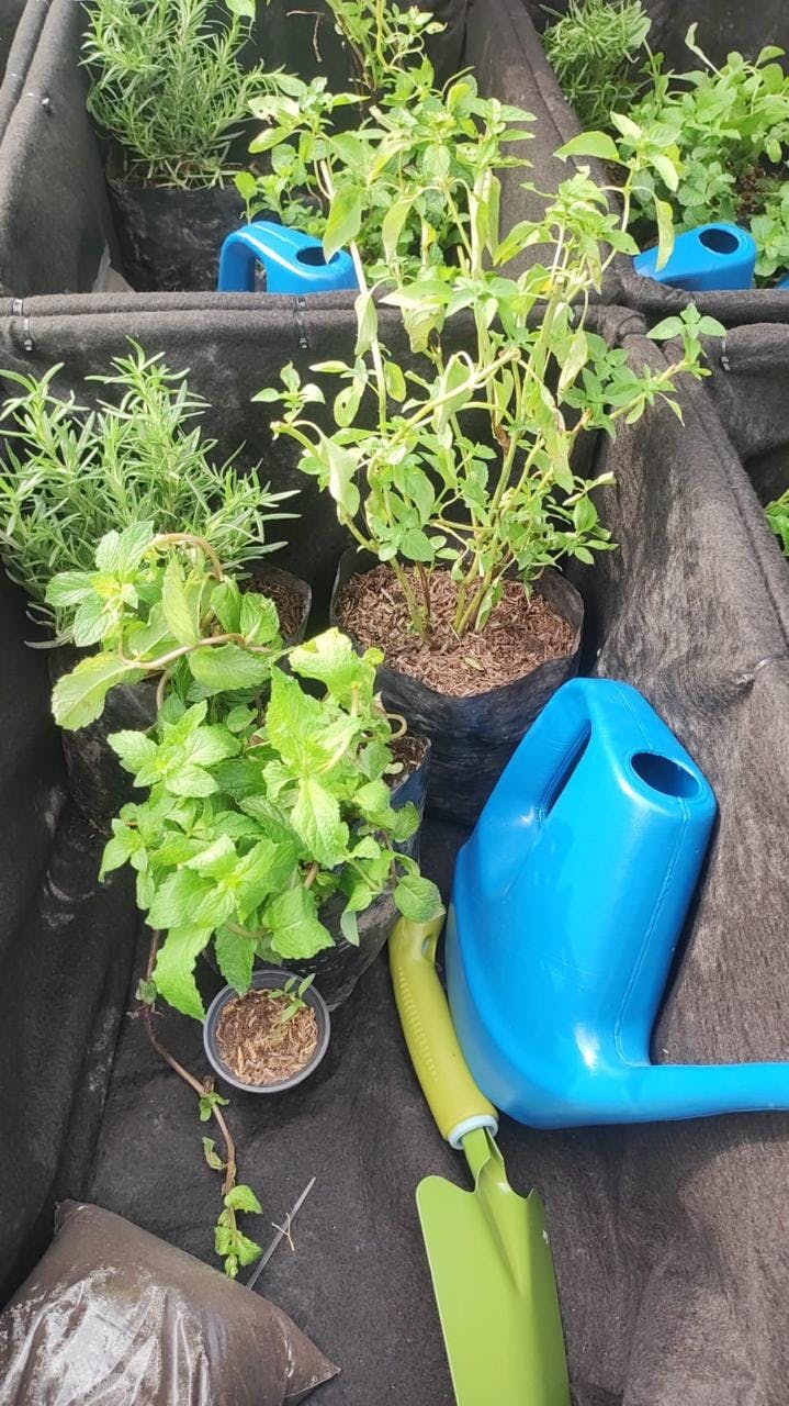 WhatsApp Image 2025-09-04 at 18.02.54 (1).jpeg