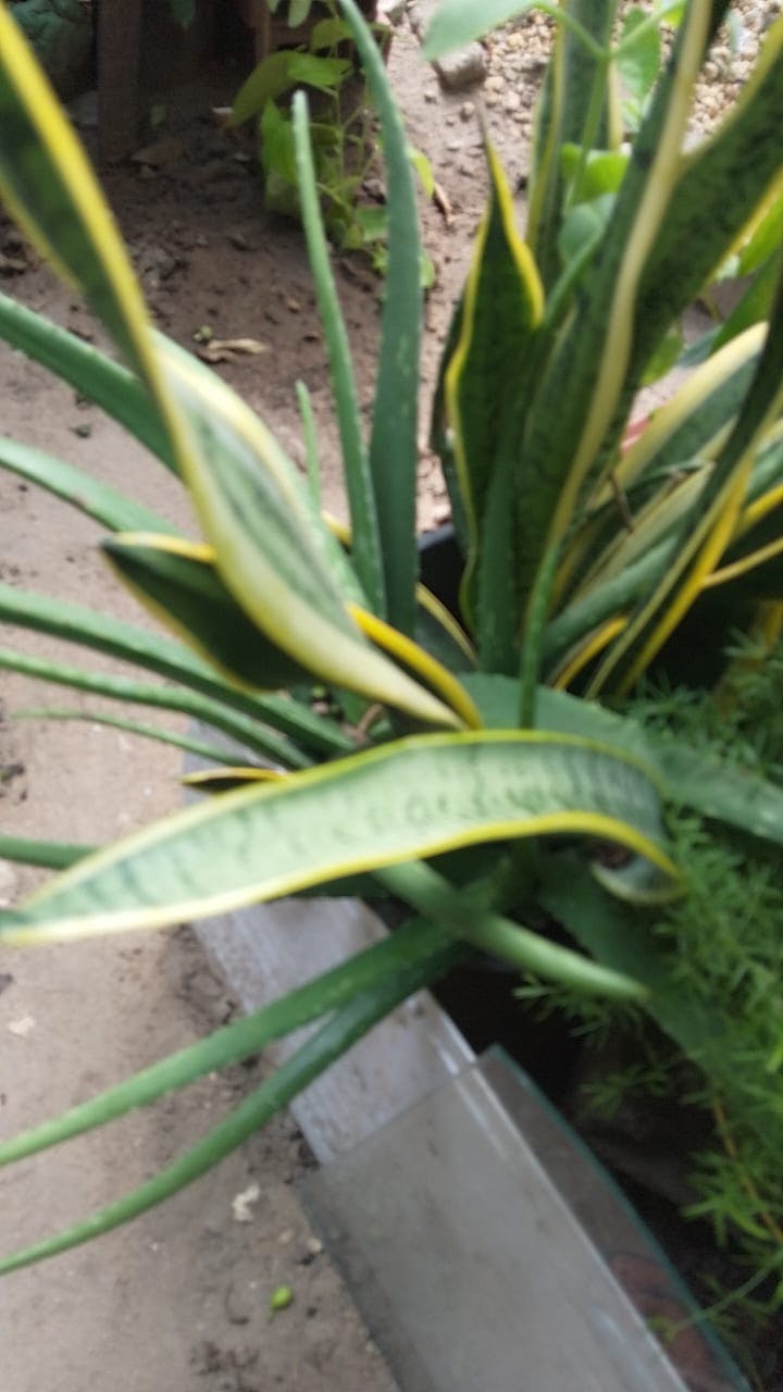 WhatsApp Image 2025-08-22 at 15.11.58.jpeg