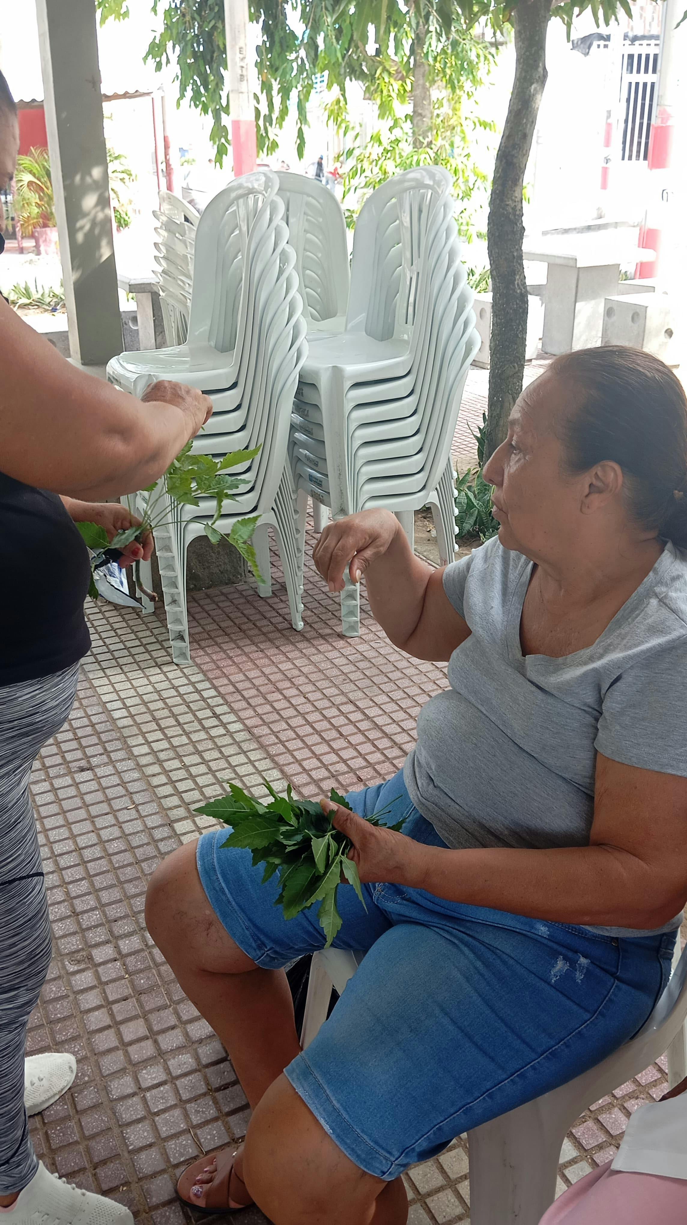 WhatsApp Image 2025-07-03 at 17.40.22 (1).jpeg