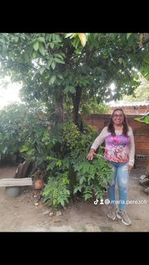 WhatsApp Image 2025-09-17 at 11.21.41.jpeg