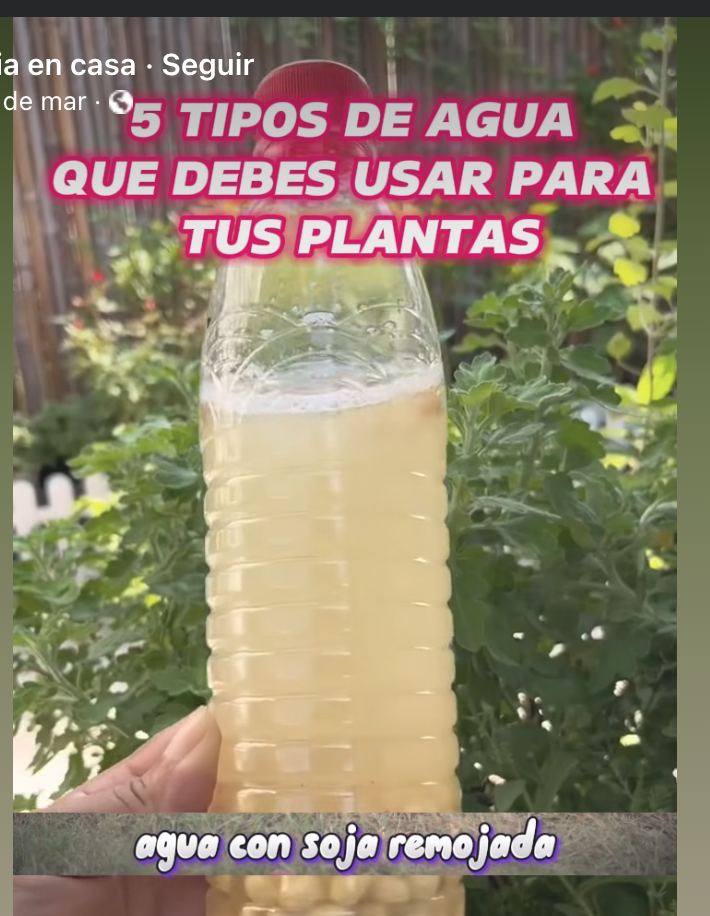 Screen Shot 2025-06-24 at 8.06.59 PM.png