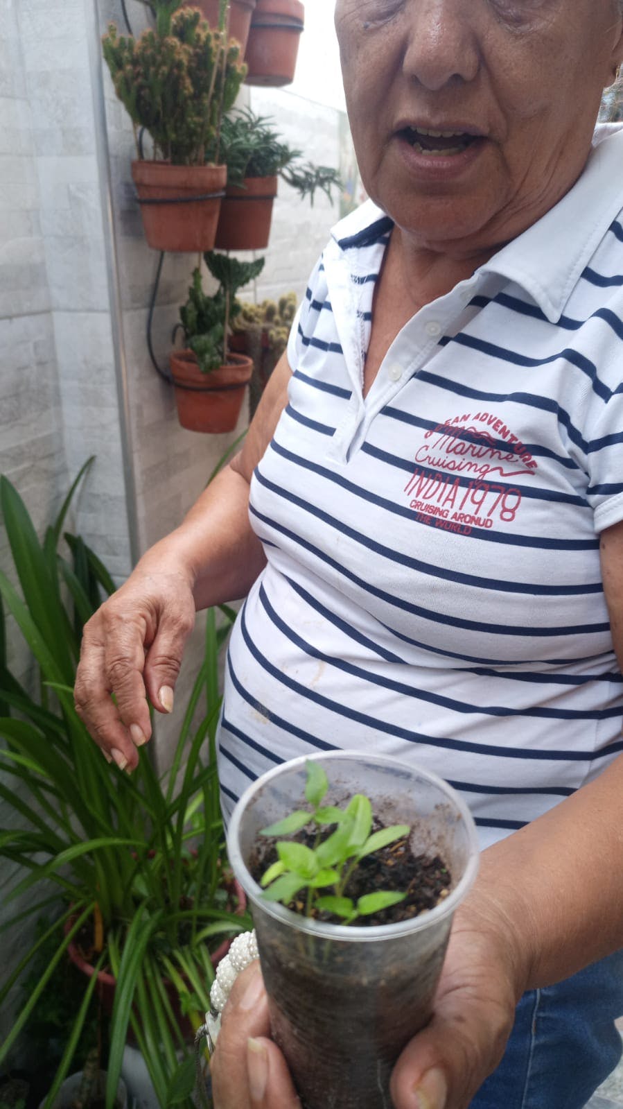 WhatsApp Image 2025-08-26 at 15.43.09.jpeg