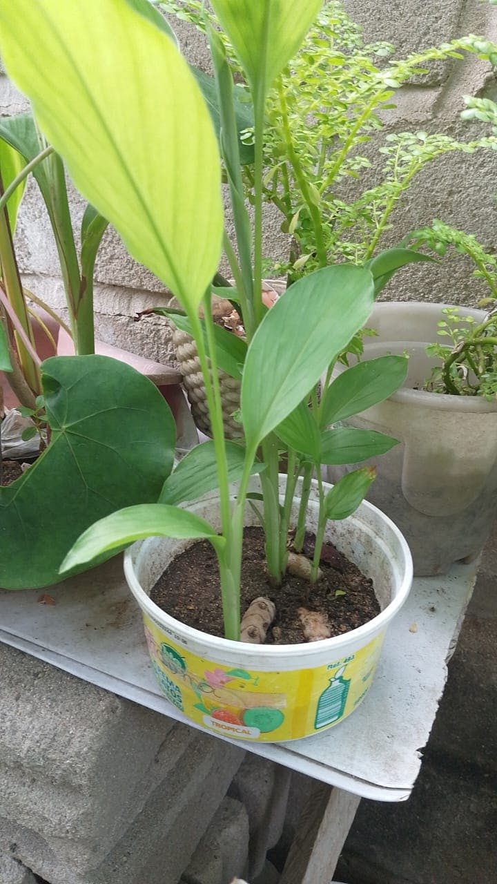 WhatsApp Image 2025-08-22 at 15.10.04.jpeg