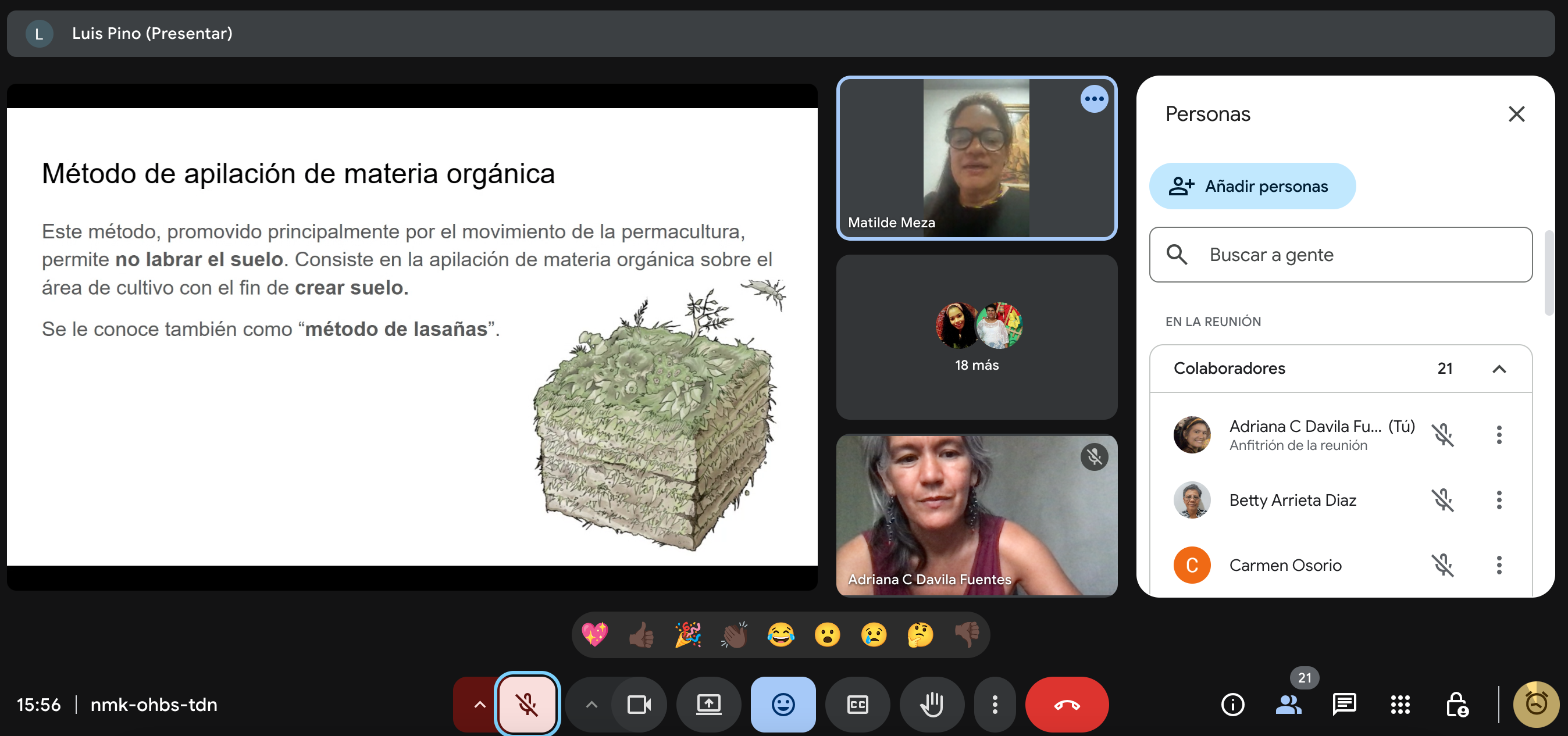 Screen Shot 2025-08-07 at 3.56.46 PM.png