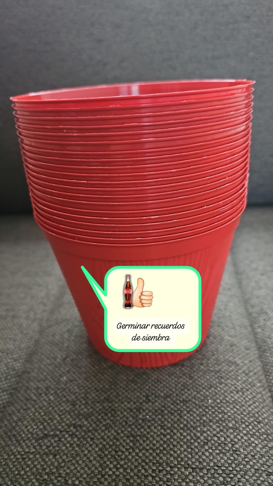 WhatsApp Image 2025-05-27 at 07.38.30.jpeg