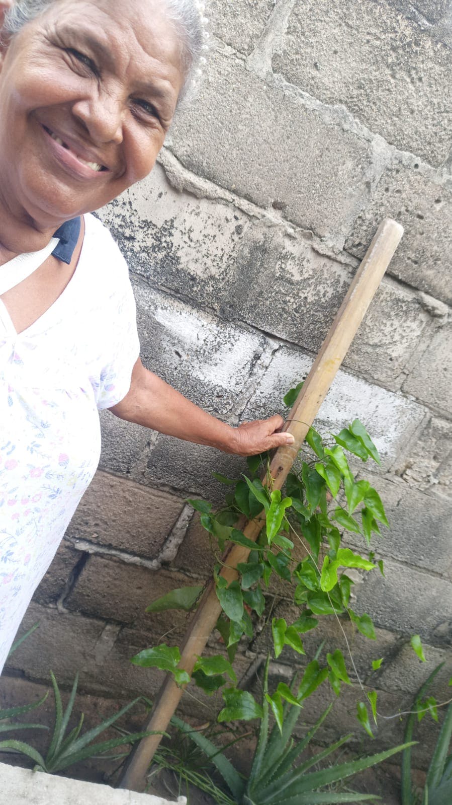 WhatsApp Image 2025-08-26 at 16.41.55.jpeg