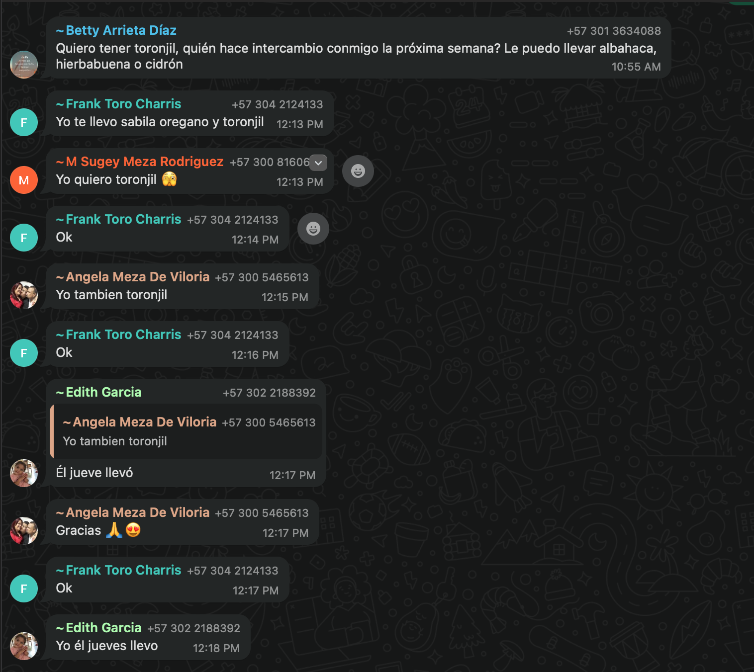 Screen Shot 2025-06-27 at 3.43.29 AM.png