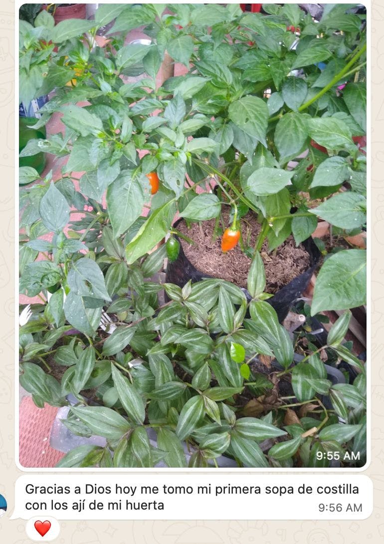 WhatsApp Image 2025-09-12 at 09.57.31.jpeg