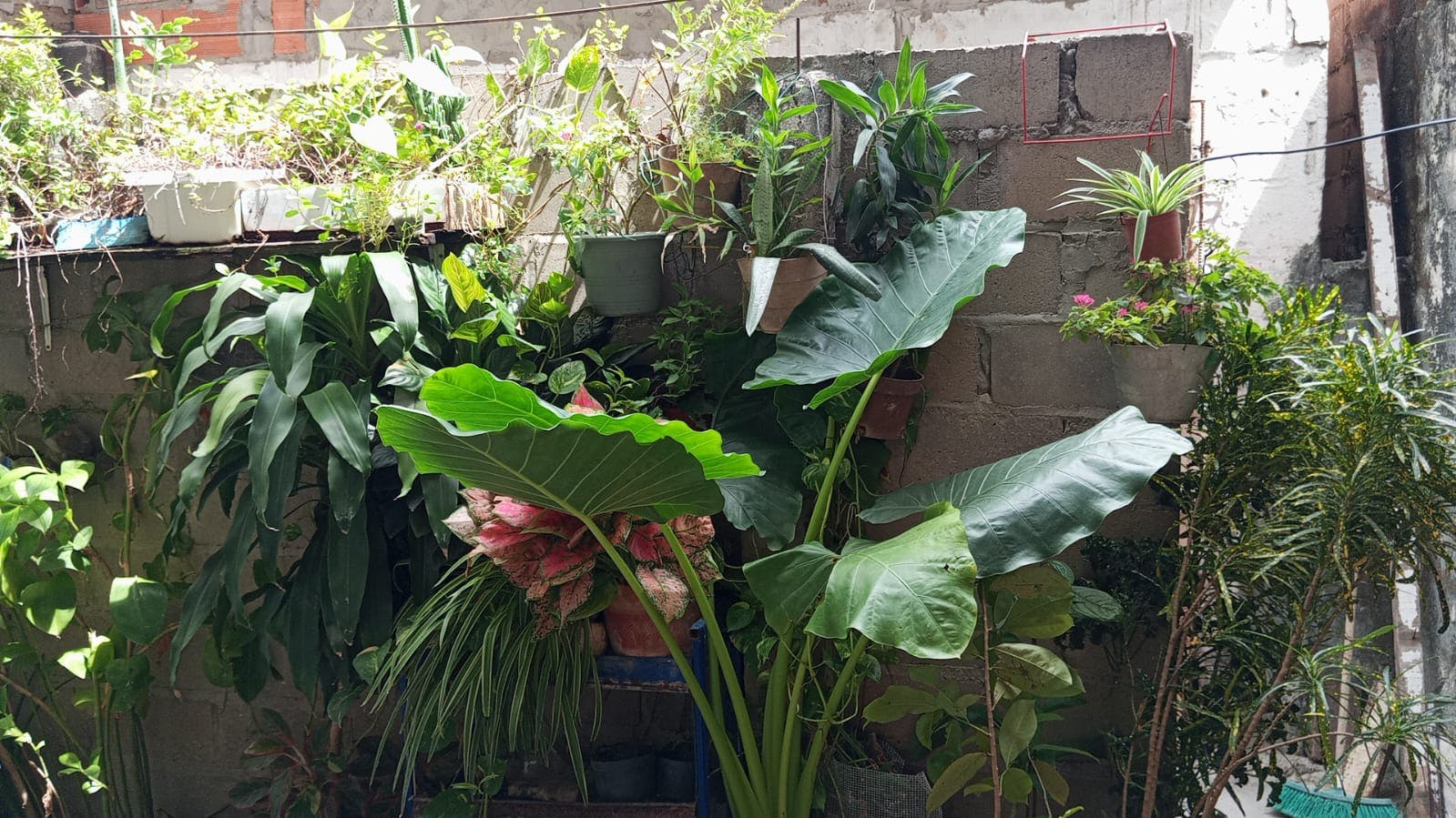 WhatsApp Image 2025-06-20 at 13.42.03 (1).jpeg