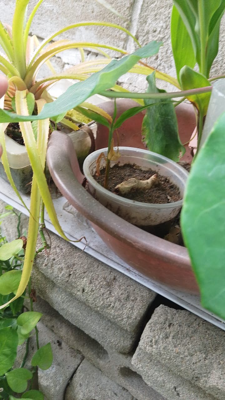 WhatsApp Image 2025-08-22 at 15.10.17.jpeg