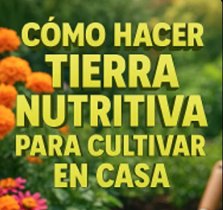 Screen Shot 2025-06-24 at 6.56.09 PM.png