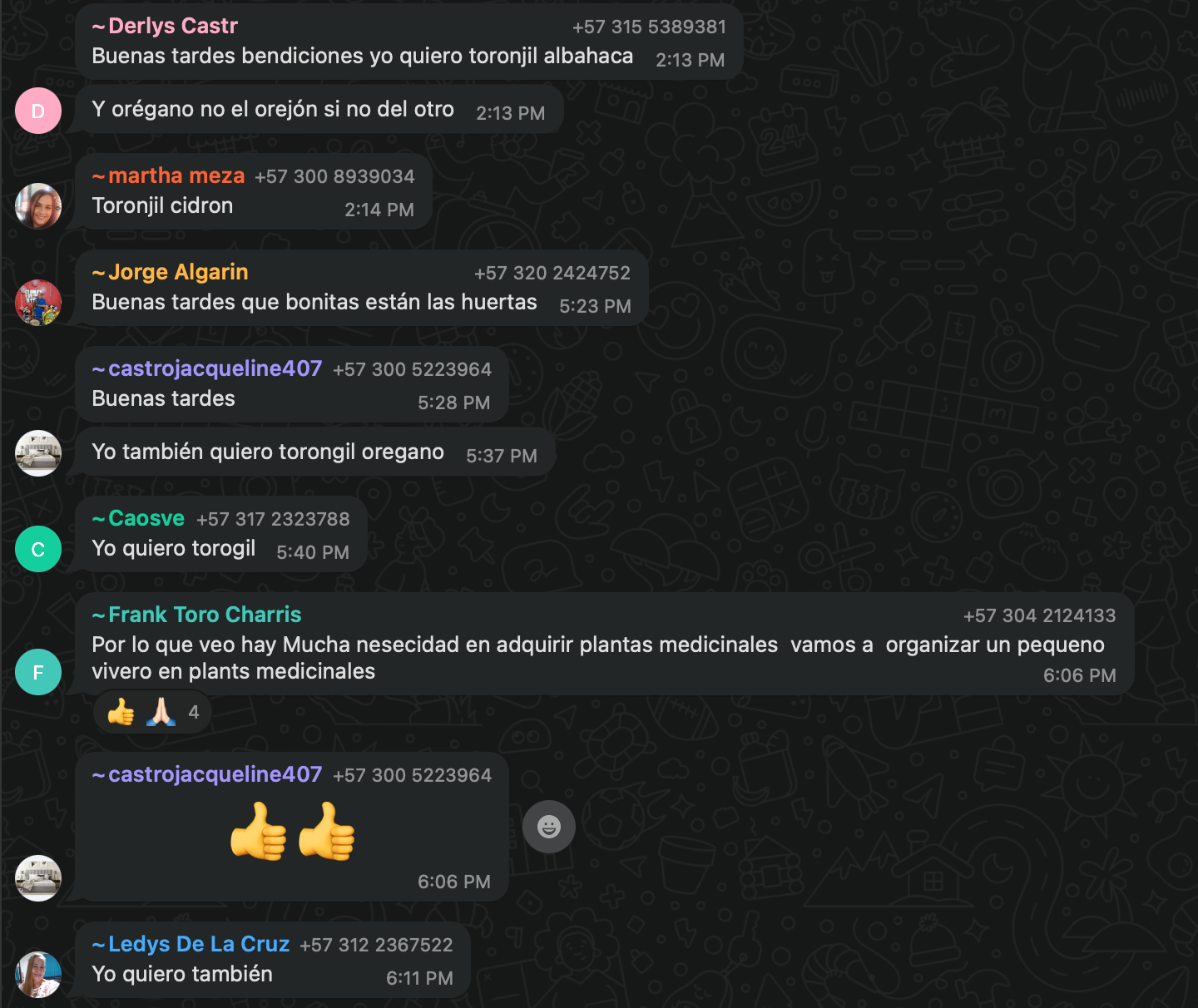 Screen Shot 2025-06-27 at 3.44.27 AM.png