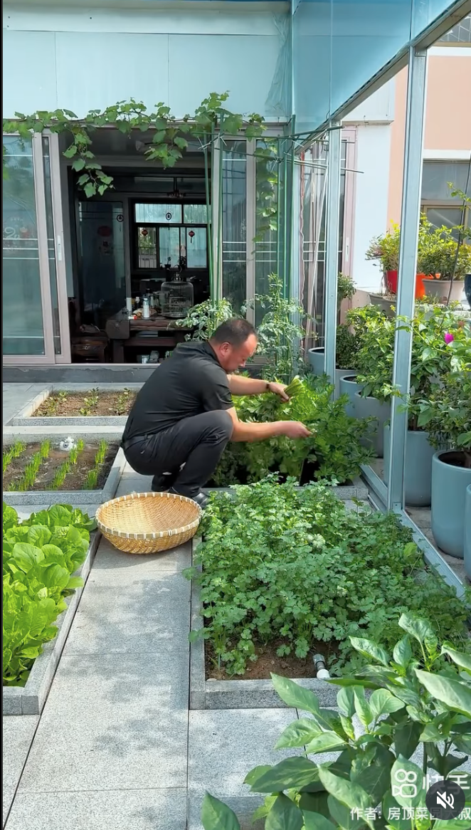 Screen Shot 2025-06-24 at 8.04.09 PM.png